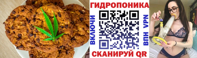 дарнет шоп  shop Telegram  Еда ТГК конопля  Берёзовский 
