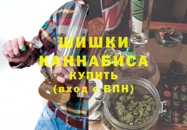 ешки Ельня