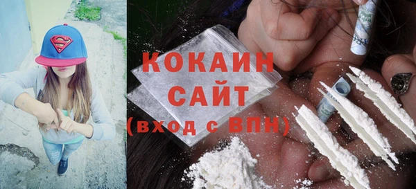 ALPHA PVP Няндома