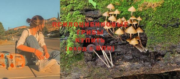 хмурый Болохово
