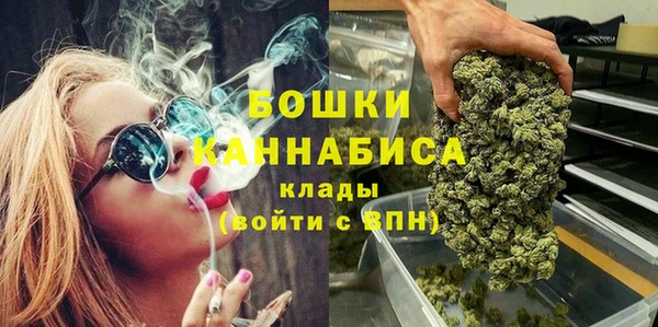 ALPHA PVP Няндома