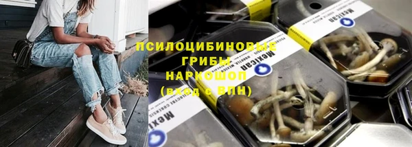 ALPHA PVP Няндома
