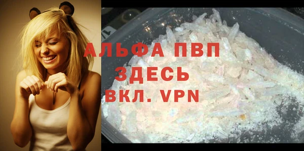 ALPHA PVP Няндома