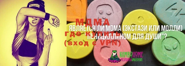 ALPHA PVP Няндома