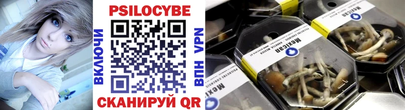 где продают   Берёзовский  Псилоцибиновые грибы прущие грибы 